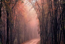 雷速直播-欧冠前瞻：圣吉罗斯期待连胜，纽卡迎来止颓良机