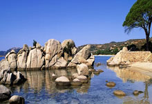 雷速直播-佩工：客战卢多格雷茨需全力取胜，续约与否不影响本赛季目标